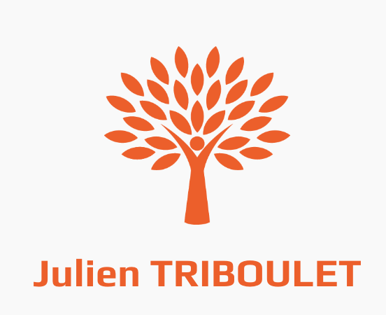 julien triboulet magnetiseur luc sur mer caen nord